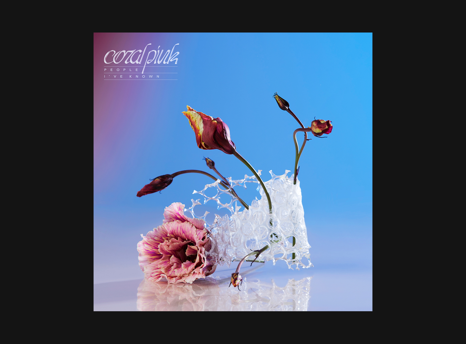 coverpresentpeopleiveknownCORALPINK